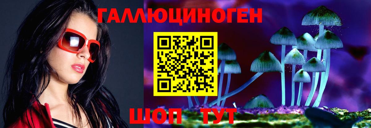 Родники  Галлюциногенные грибы Cubensis  Вход с VPN 